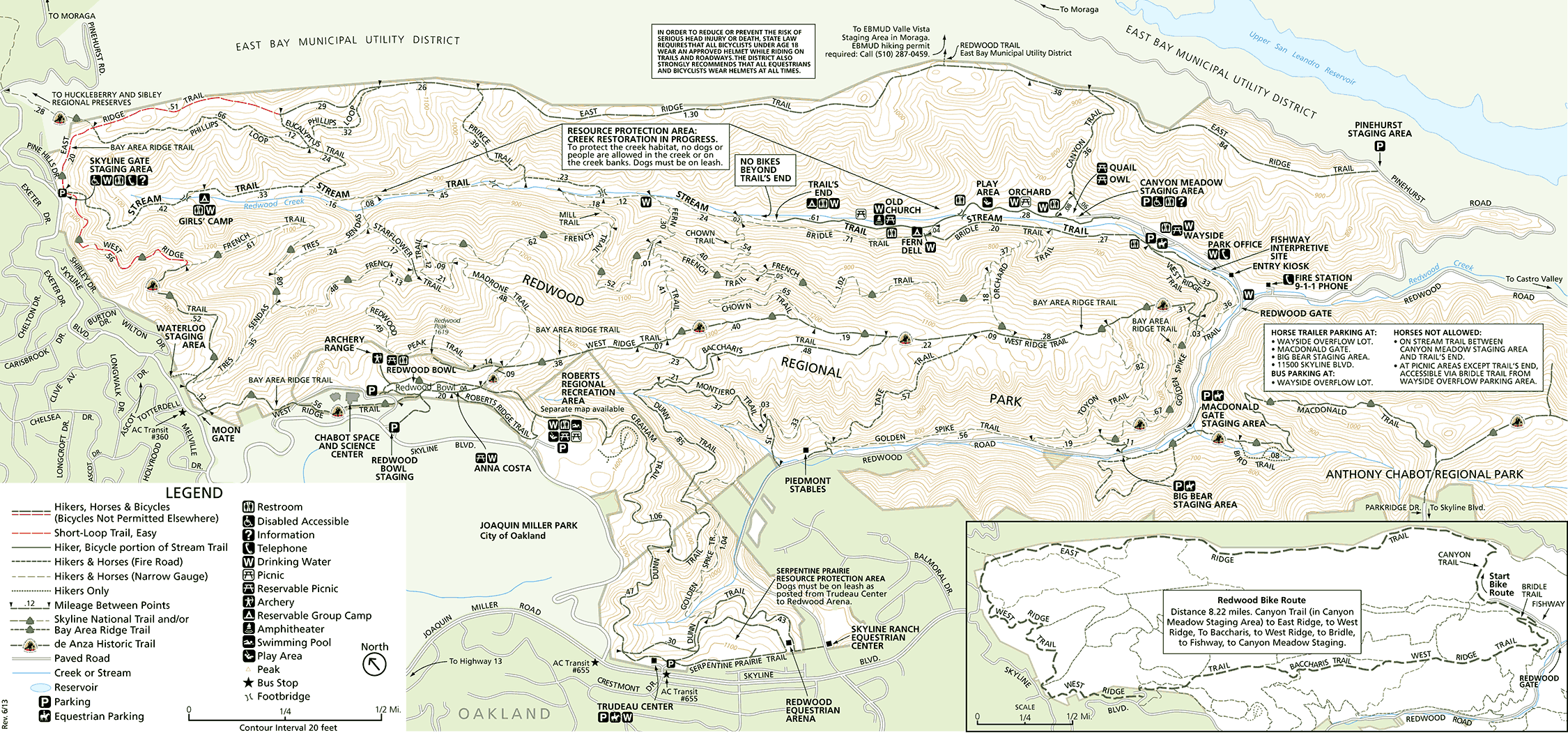 Redwood Map – Lisbeth Coiman